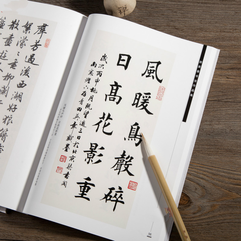 Âu Dương Tấn Bàn Chải Thư Pháp - đánh giá và giá Chinese Calligraphy Practice Book