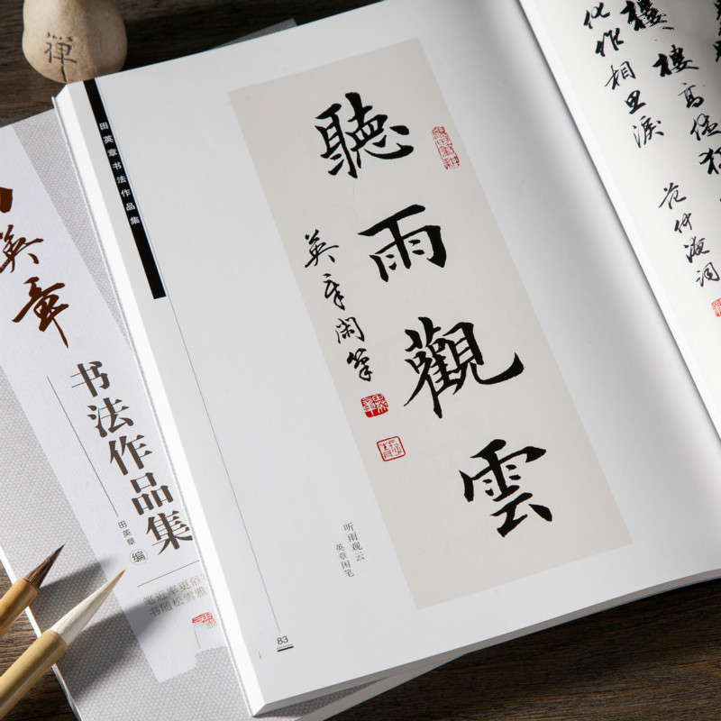 Âu Dương Tấn Bàn Chải Thư Pháp - đánh giá và giá Chinese Calligraphy Practice Book