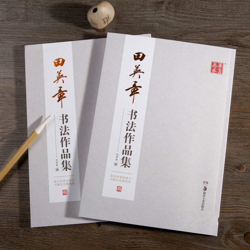 Âu Dương Tấn Bàn Chải Thư Pháp - đánh giá và giá Chinese Calligraphy Practice Book
