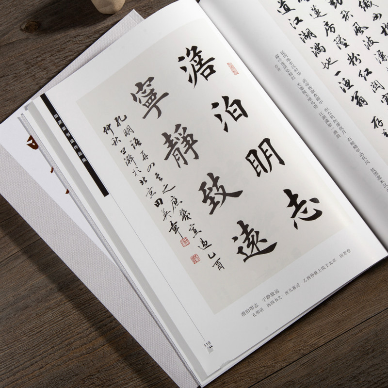 Âu Dương Tấn Bàn Chải Thư Pháp - đánh giá và giá Chinese Calligraphy Practice Book