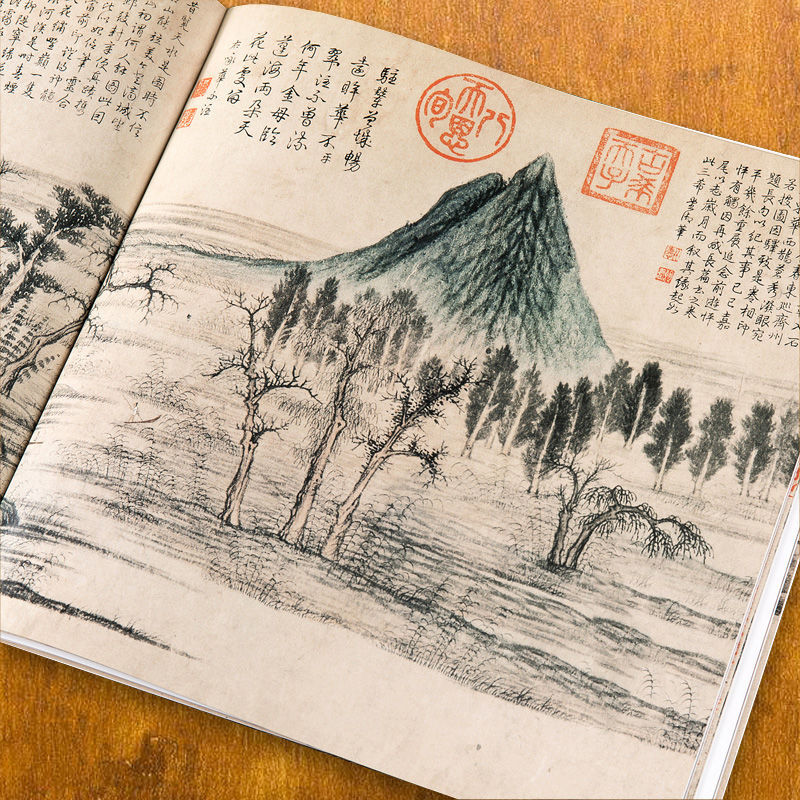 Qi Baishi Freehand Painting Bo - đánh giá và giá Chinese Calligraphy Practice Book