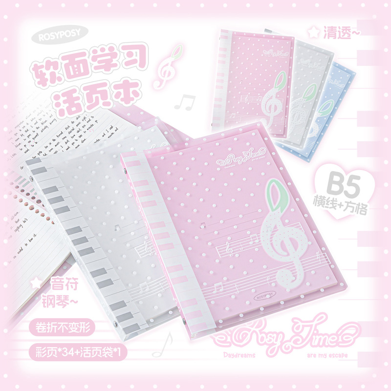 Rosyposy Melody Loose Leaf Not - đánh giá và giá Blank Sheet Music Notebook